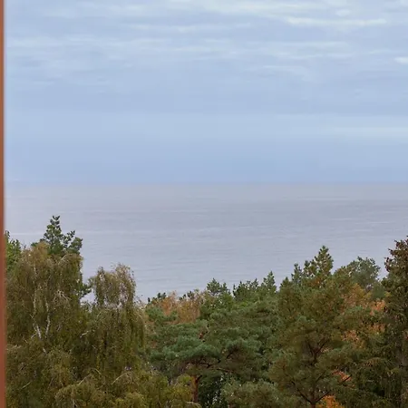 Lejlighed Mazowiecka By Renters *