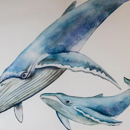 Mazowiecka By Renters شقة